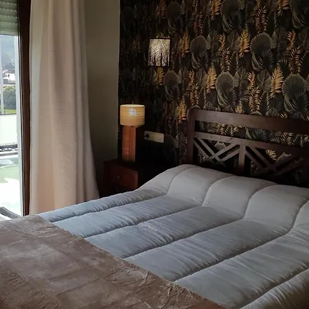 Nuevo Sydney スアンセス